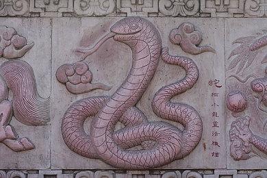 《海贼王：时光旅诗》真人预告片 1月13日发售