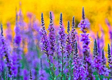 SE公布经典游戏《穿越时空》重制版 4月7日登陆多平台